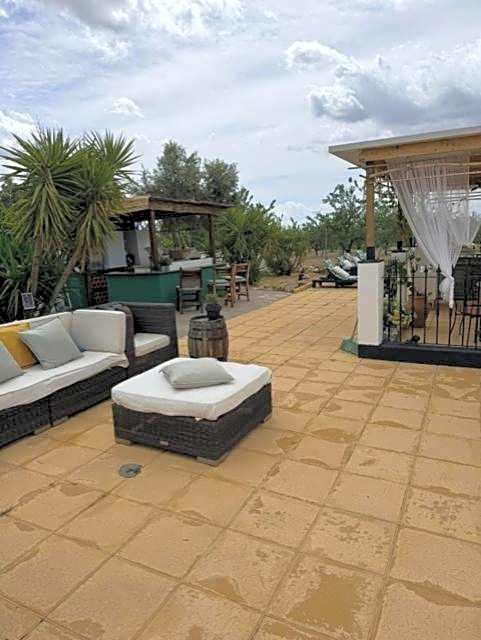 Oasis View