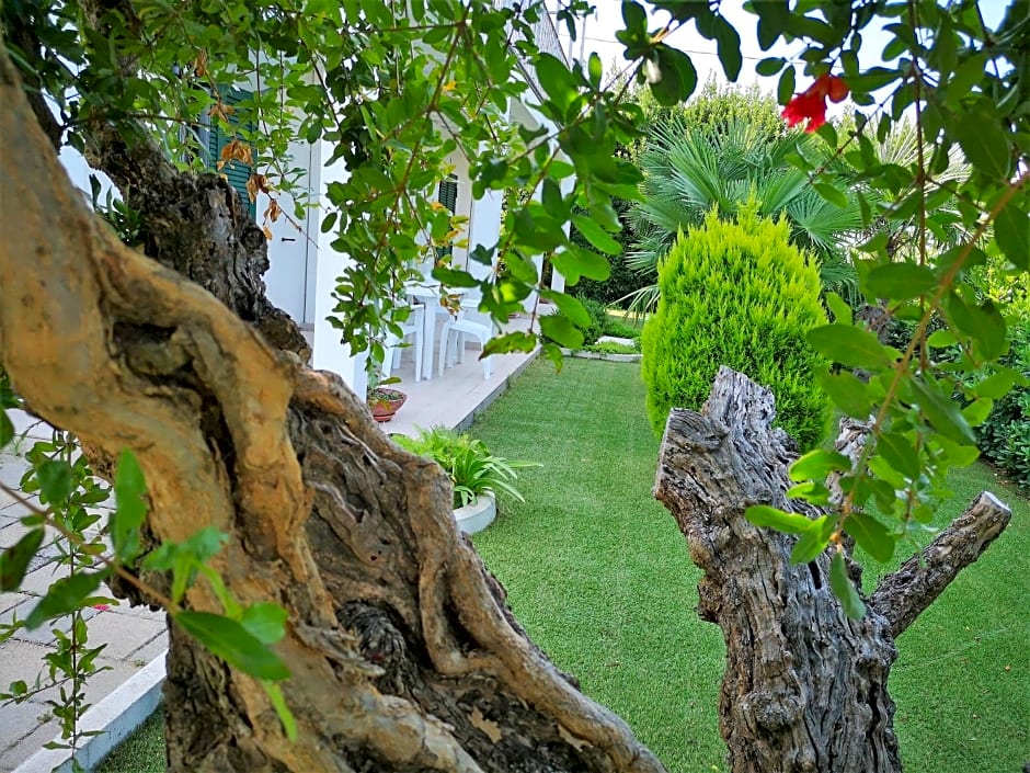 B&B Dimora ROSSIPINTI