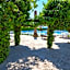 Apartamentos Tramuntana