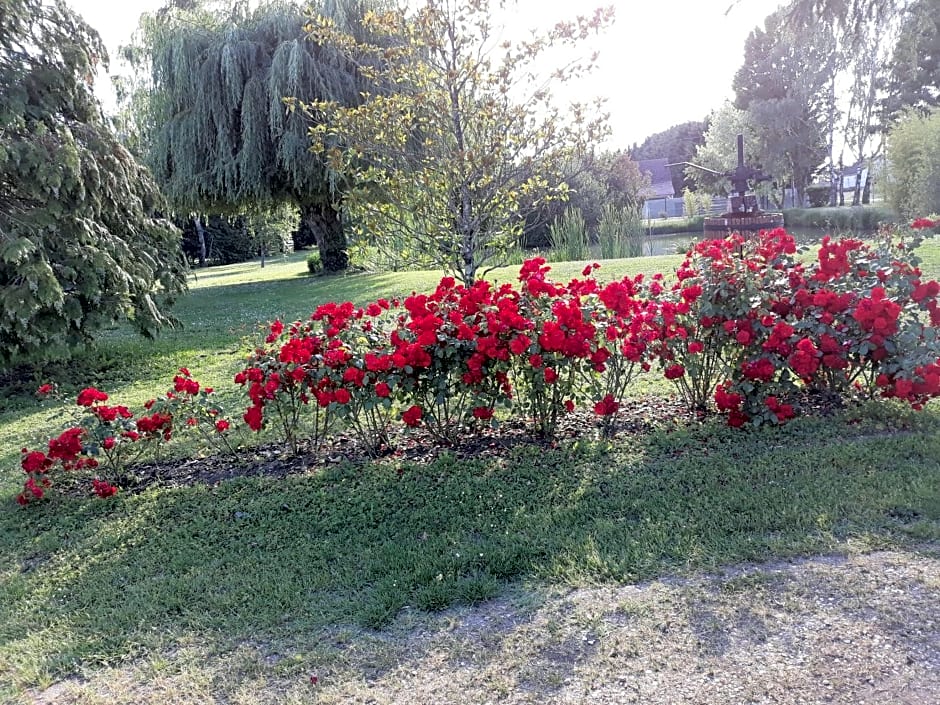 Les ROSEAUX A la Campagne au centre des chateaux de la Loire