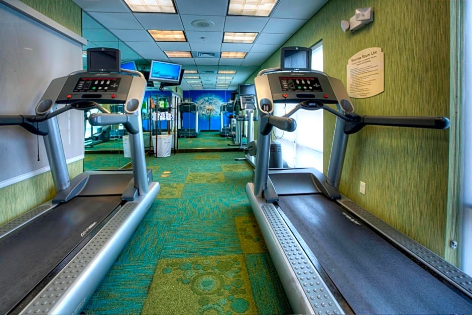 SpringHill Suites by Marriott - Tampa Brandon