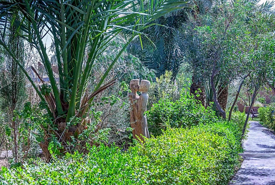 Dar Azawad Boutique Hotel - Mhamid Sahara Stay