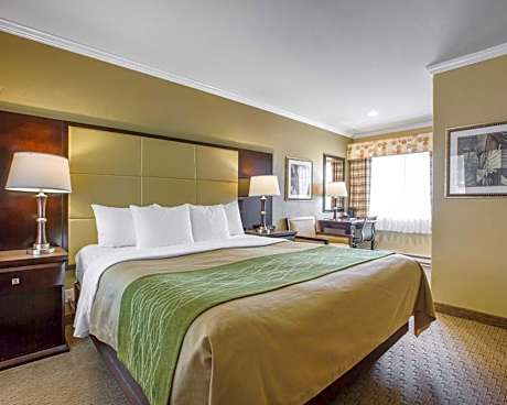 King Room - Non-Smoking