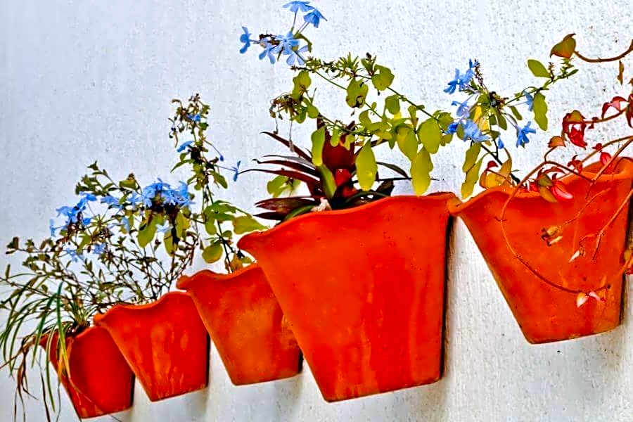 Casa Bossa Nova Guesthouse