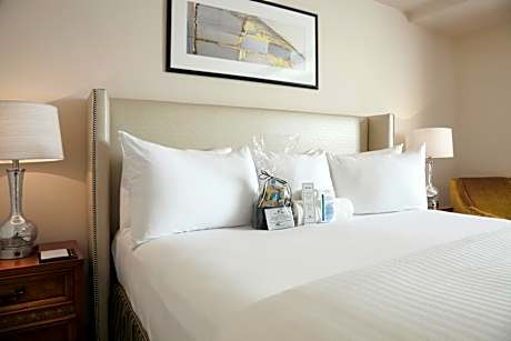 Accessible Deluxe Plaza Suite