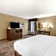Comfort Inn & Suites Seatac