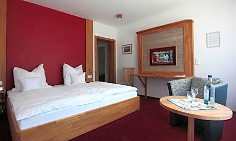 Single Room with Terrace