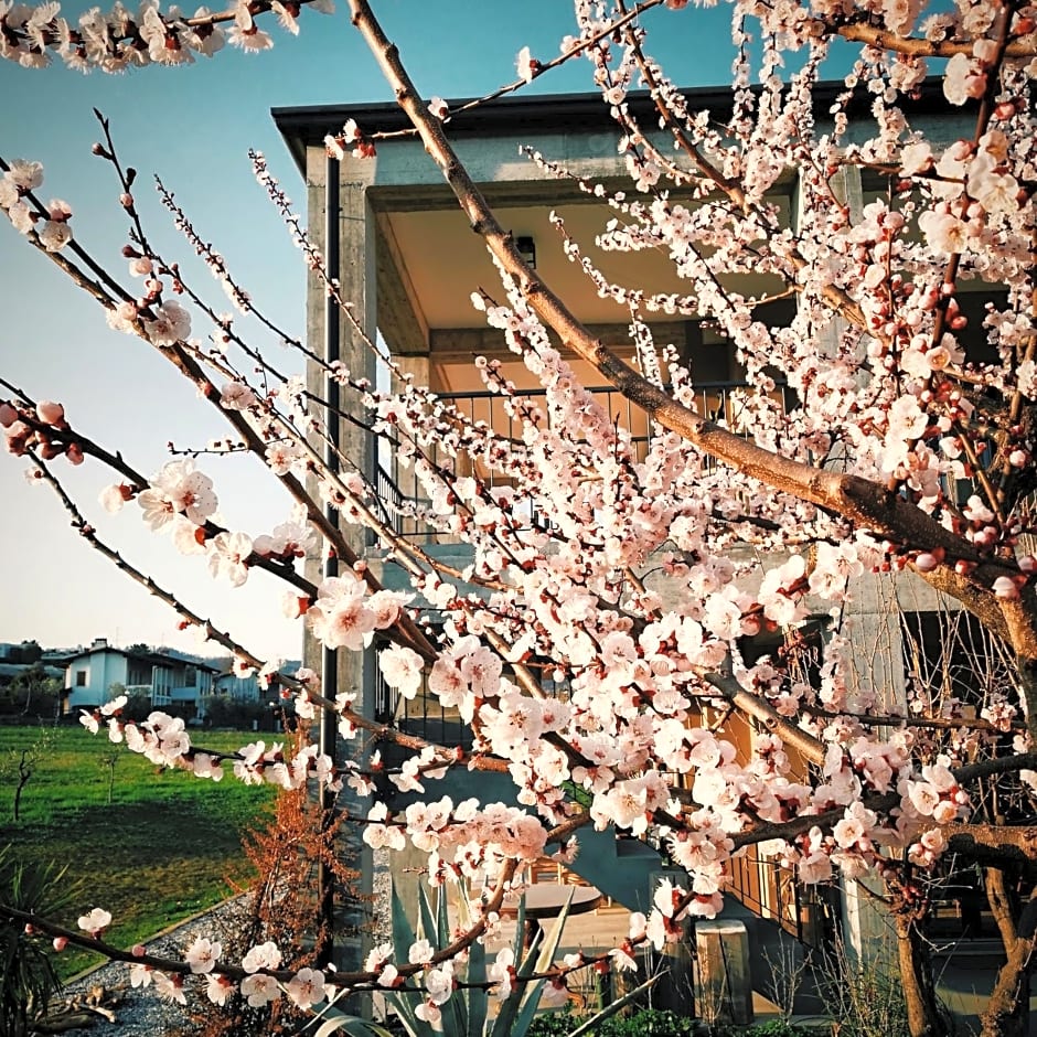 Bed & Breakfast IL PAJO