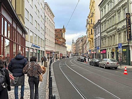 Bunk Bed in Mixed Dormitory Room