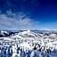 Aspen Shiga