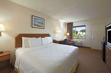 1 King Bed, One-Bedroom Suite, Non-Smoking