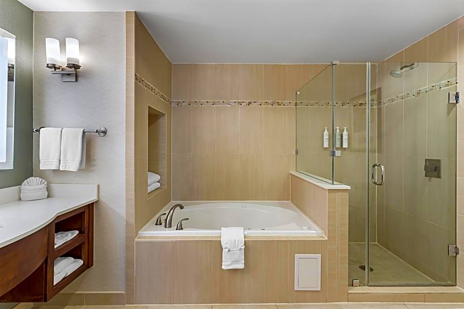 Hilton Garden Inn Houston Nw/America Plaza