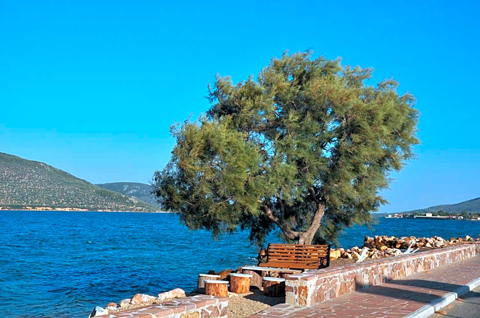 Ariadnes Holiday Accommodation