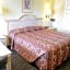 Scottish Inn and Suites NRG Park/Texas Medical Center - Houston