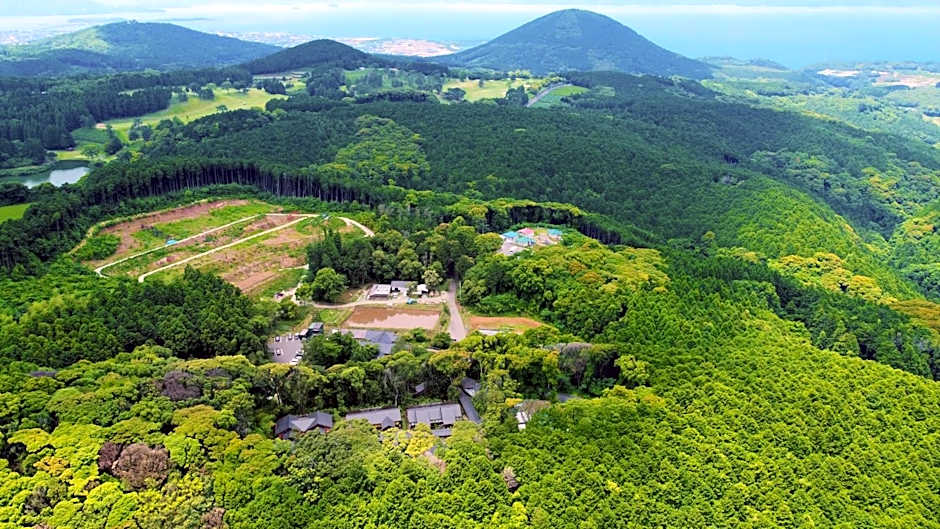 Tsuwabuki no Hana