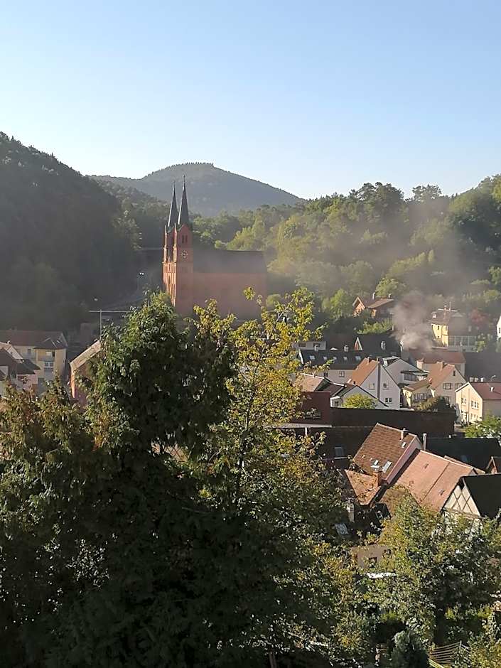 Hotel Am Hirschhorn - Wellness - Spa - and more