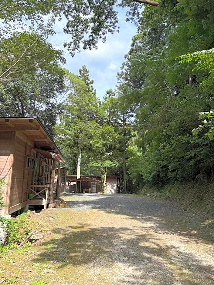 YAMAYA BASE 2