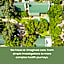 HOSPITALity Lodges