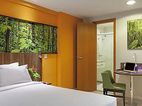 Single 1 Classic Room with one double bed