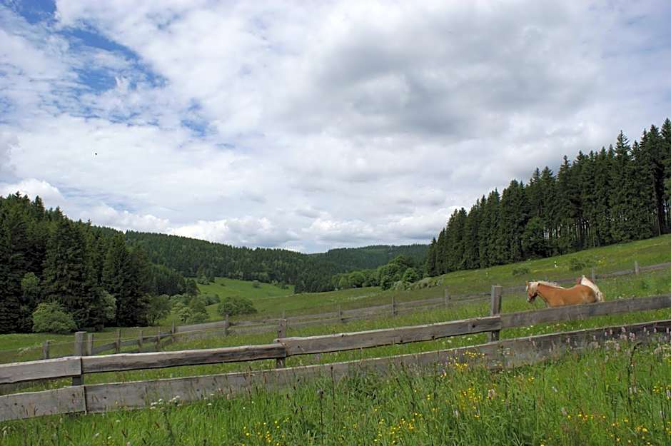 Appartements und Ferienhaus Gasthof Kanzlersgrund