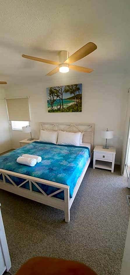 Pandanus Coolum Beach