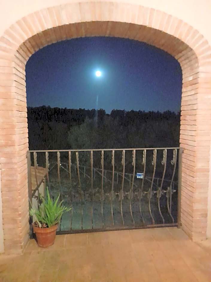 B&B Vallecupa