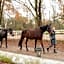 Apartamenty w Dworku Cheval