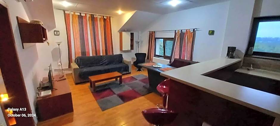 VillaWeb 9rooms - Long term business aparthotel 29 Euro per night per room, min 3months