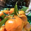 S'Arenada Hotel - Adults Only