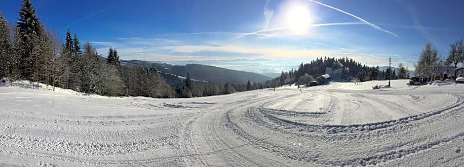 Wellness Hotel Bahenec