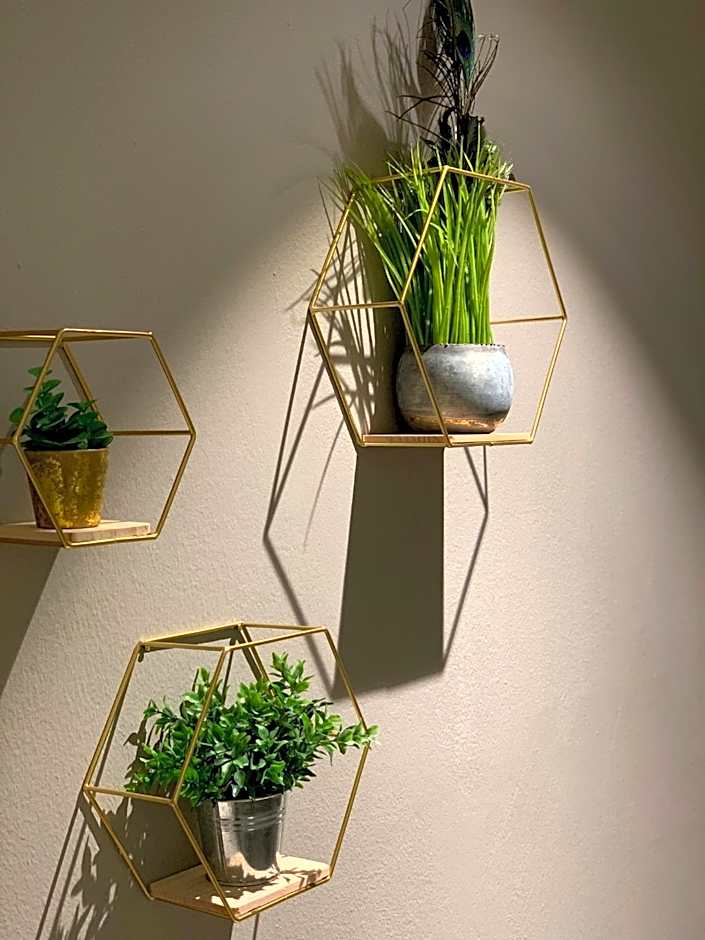 Hotel Saalbacher Hof