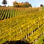Weingut Stoff
