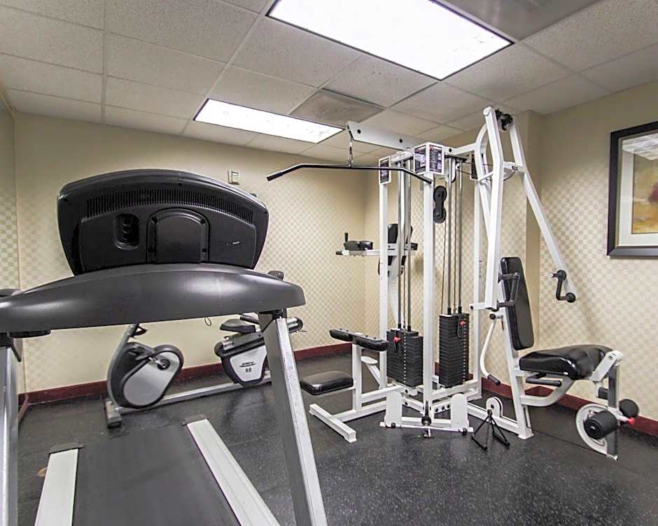 Comfort Inn & Suites Maingate South