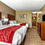 Comfort Inn & Suites Mccomb