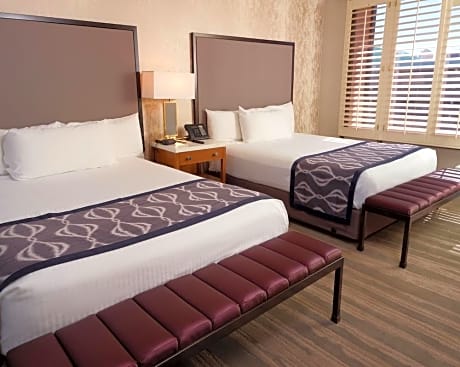 Two Queen Beds Premium