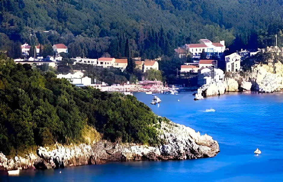 Hotel Danica