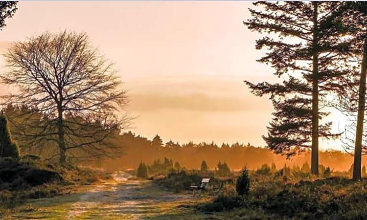 Luxe Natuurhuisje met jacuzzi en haard in Drenthe, ECHTEN