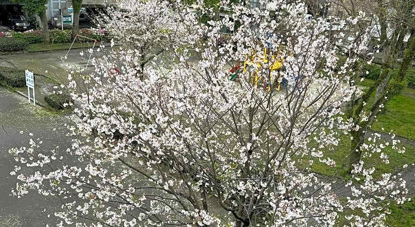 Hotel Ninestates Kagoshima