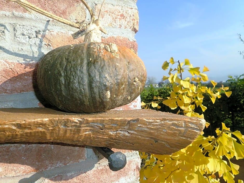 Bed and breakfast Al Rudun