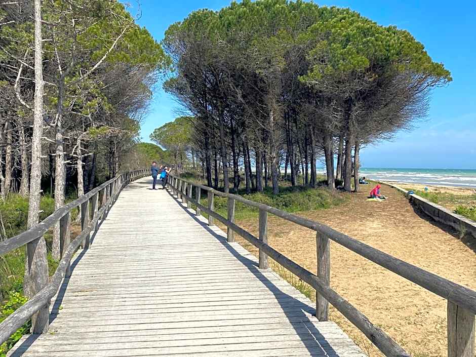 Beautiful flat 250m from the beach for 8 guests