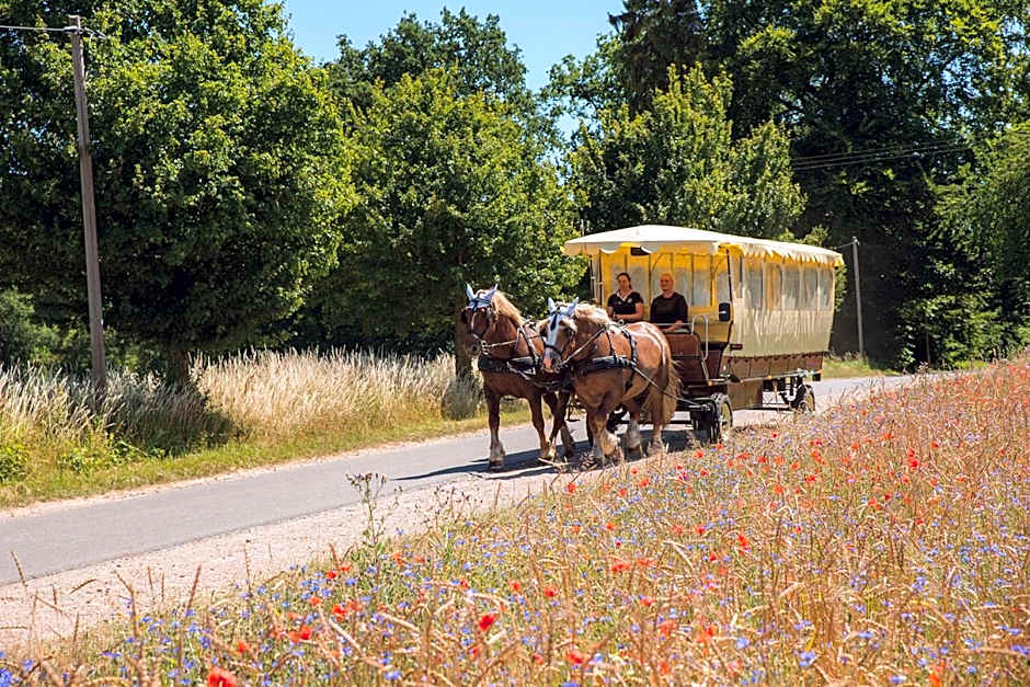 Golchener Hof - Familienhotel & Bauernhofurlaub in Mecklenburg