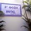 D¿Gecko Hotel