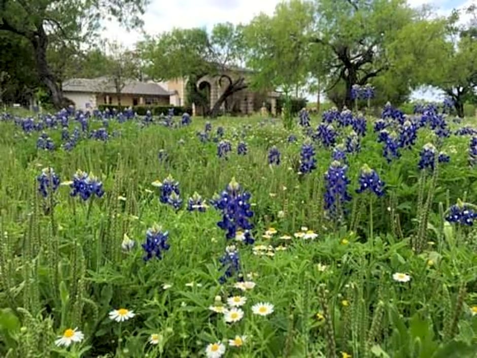 Live Oaks Bed and Breakfast