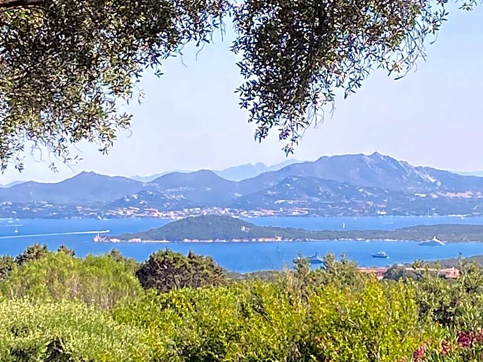 Domus Olivarum - Costa Smeralda 6 guest, 3 room, 2 bathroom, 2 parking Wifi