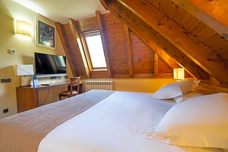 Superior Double Room Attic