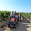 Datça Vineyard Guesthouse - Over 14 years old only