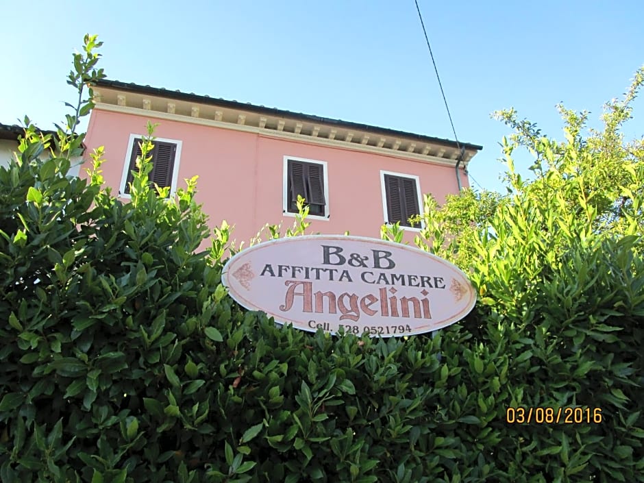 Angelini dal 1911