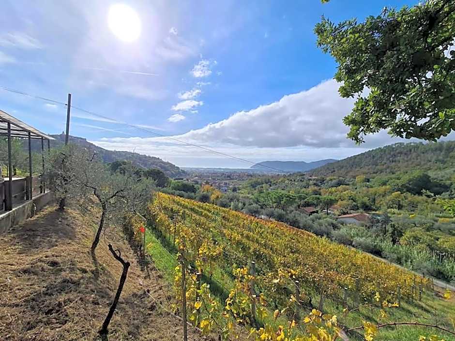 Agriturismo La Carreccia