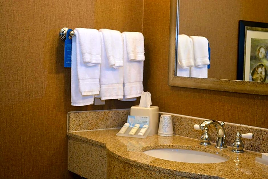 Hilton Garden Inn Houston/Pearland