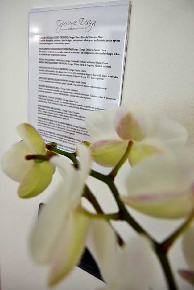 Experience Design Bed&Show